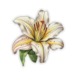 Adesivo de flor de lírio, arte floral branca, decalque de laptop, garrafa de água fofa, carro, amortecedor à prova d'água, estética, mural de parede cortado