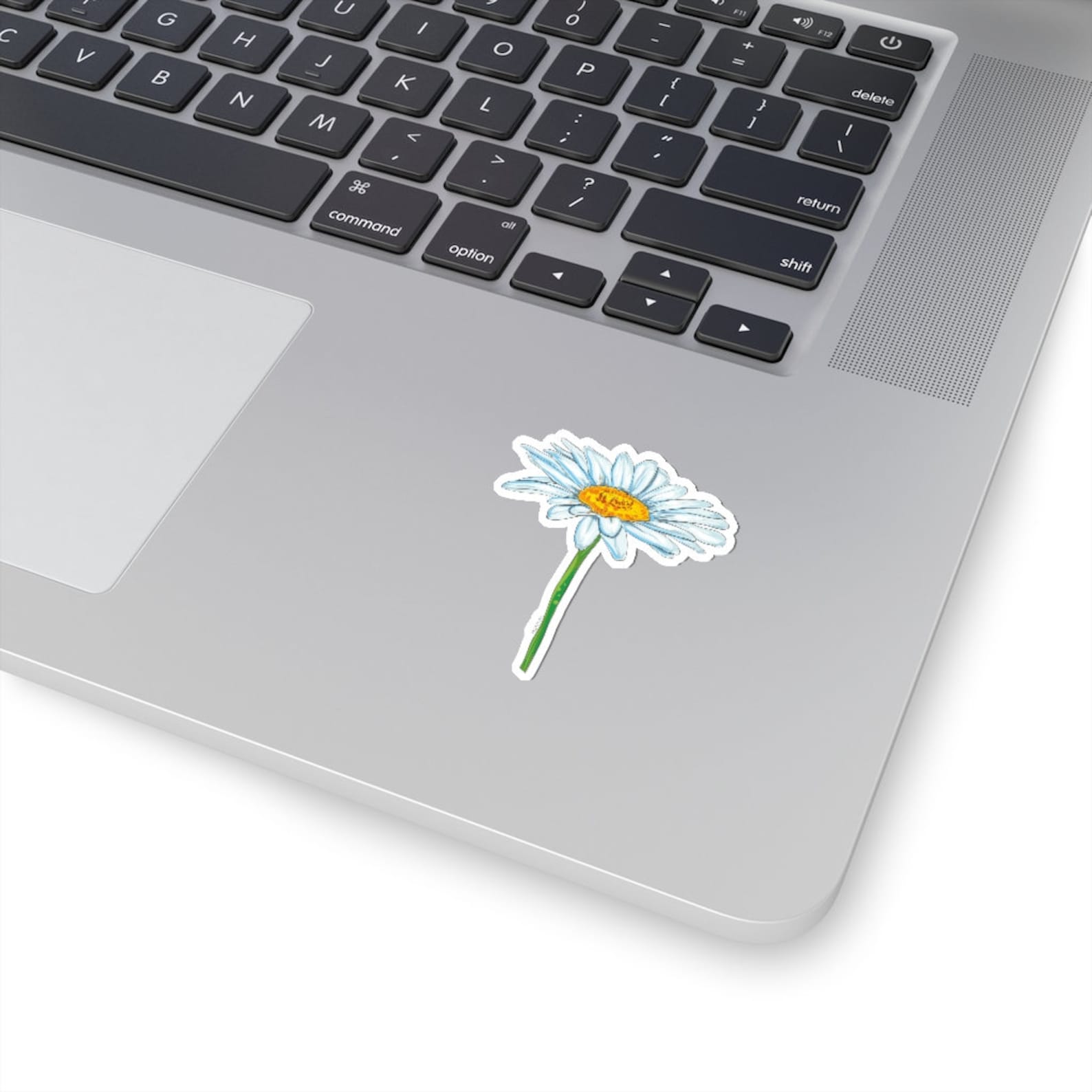 Daisy White Flower Sticker, Laptop Decal Vinyl Cute Waterbottle Tumbler ...