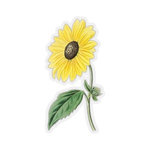 California Sunflower Decal, Nature Bloom Stem Floral Yellow Laptop Decal Vinyl Cute Waterbottle Tumbler Car Bumper Aesthetic Label Wall