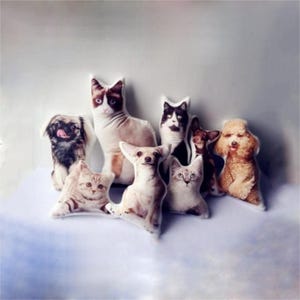 Puede incluir: Una colección de ocho peluches con forma de diferentes animales, incluyendo un gato, un perro y un caniche. Los peluches son todos blancos con imágenes impresas de los animales.