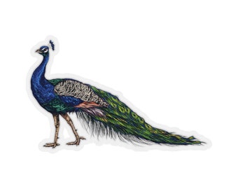 Peacock Sticker, Bird Feathers Cute Vinyl Decal Label Phone Transparent Clear Small Large Cool Art Computer Hydro Flask