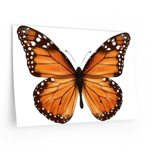 Monarch Butterfly Large Removable Wall Decals, Big Giant Vinyl Mural Sticker Animals Art Cute Nursery Die Cut Peel and Stick Decor