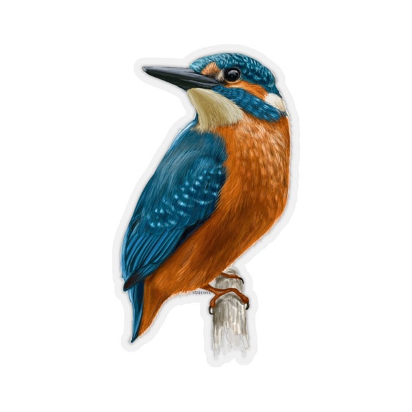 Kingfisher Bird Sticker, Nature Animals Tropical Laptop Decal Vinyl Cute Waterbottle Tumbler Car Bumper Aesthetic Die Cut Wall Mural