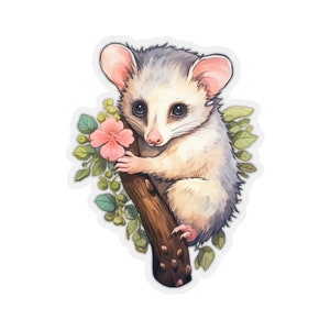 Autocollant Possum, Opossum Animal Art ordinateur portable autocollant vinyle mignon bouteille d'eau gobelet voiture étanche pare-chocs découpé mur clair