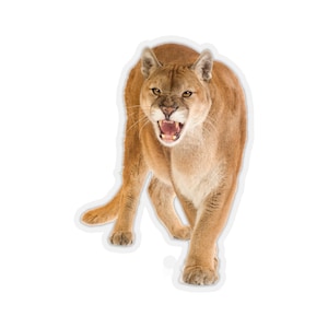 Mountain Lion Sticker, Cougar Puma Big Cat Laptop Decal Vinyl Cute Waterbottle Tumbler Car Impermeabile Bumper Estetica Die Cut Wall Mural