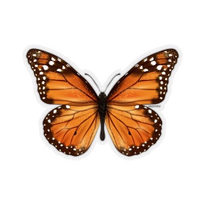 Adesivos de arte com decalque de borboleta monarca, vinil fofo para laptop, garrafa de água à prova d'água, copo, para-choque de carro, etiqueta estética de parede, pequena, grande janela
