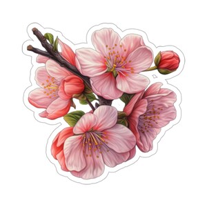 Autocollant de fleur de cerisier, fleur rose Sakura Art Kawai ordinateur portable autocollant vinyle mignon bouteille d'eau gobelet voiture étanche pare-chocs esthétique mur image 6