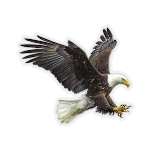 Bald Eagle Sticker, Klauw vliegenDe American Bird Raptor Van Links naar Rechts Laptop Decal Vinyl Waterbottle Tumbler Auto Bumper Esthetische Die Cut