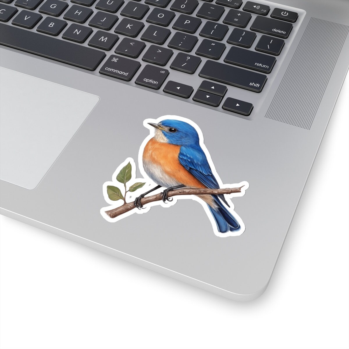 Eastern Bluebird Sticker, Bird Watcher Animal Watercolor Decal Art ...