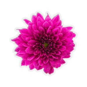 Pink Dahlia Sticker, Flower Floral Art Laptop Decal Vinyl Cute Waterbottle Tumbler Car Waterproof Bumper Aesthetic Die Cut Wall Mural