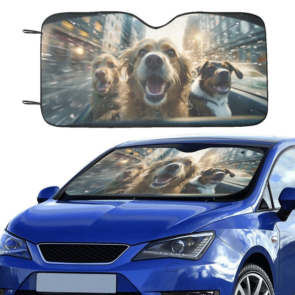 Funny car sunshade - .de