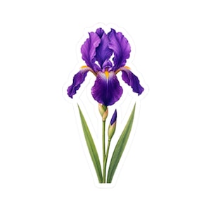 May include: A sticker featuring a detailed illustration of a purple iris flower. The flower has ruffled petals with yellow accents, green leaves, and a bud. The design is set against a white background.
