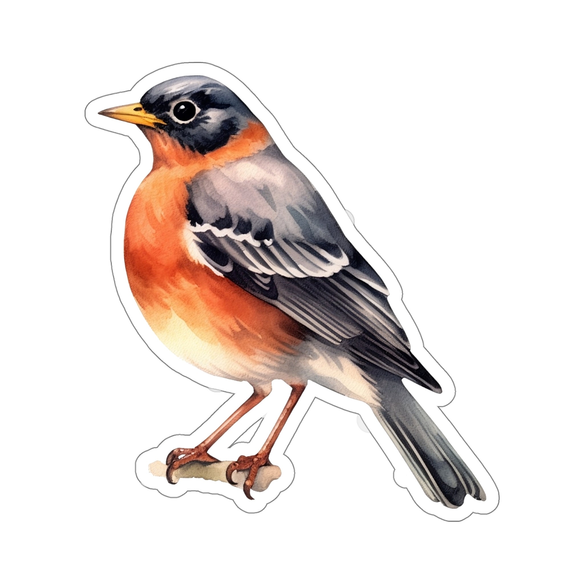 Pink Robin Sticker American Robin Sticker Decal, Bird Watercolor Art Vinyl Laptop Cute ...