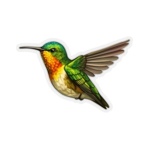 Pegatina de colibrí, pájaro de acuarela, calcomanía para portátil, vinilo, botella de agua bonita, vaso, coche, parachoques impermeable, Mural de pared troquelado estético