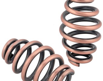 Custom 3 Chromed Barrel Springs 1 Pair | Etsy