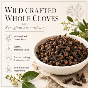 Whole Cloves | Syzygium aromaticum | Culinary Spice & Herbal Tea Ingredient | Wild Crafted