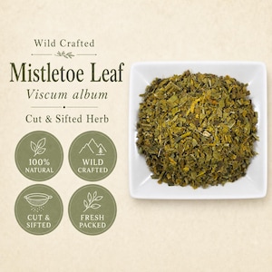 Mistletoe Leaf | Viscum album | Cut & Sifted Tea Herb | Wild Crafted