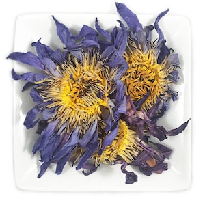 Biologische hele bloeiende blauwe lotusbloemen (Nymphaea caerulea) vrij van Egyptische pesticiden - verse oogst - gratis verzending in de VS