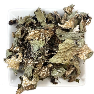 Lungwort Lichen Moss  ( Pulmonaria ) Dried Herb Tea Fresh Batch - New Harvest - Free Shipping in USA