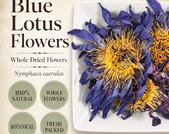 Blue Lotus Whole Flowers | Nymphaea caerulea | Egyptian Water Lily | Wild Crafted