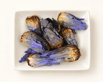 May include: A collection of dried blue lotus flowers with elongated, tubular petals in shades of deep violet, light blue, and tan, arranged in a small, rectangular white ceramic dish with rounded corners and a smooth, glossy finish.