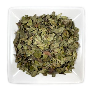 Organic Uva Ursi Leaf: Cut & Sifted Herbal (Arctostaphylos)