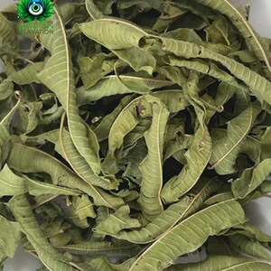 Puede incluir: Hojas de verbena secas, una hierba natural, en un mont&oacute;n. Las hojas son de color verde claro y tienen un tono ligeramente marr&oacute;n.