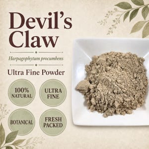 Devils Claw Root Powder | Harpagophytum procumbens | Ultra Fine Botanical | Wild Crafted
