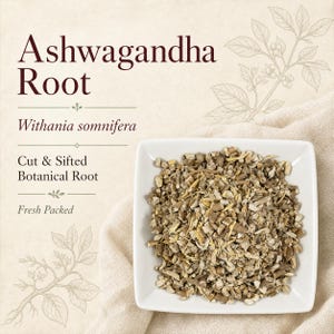 May include: A square white bowl filled with cut and sifted Ashwagandha root, Withania somnifera. The text reads Ashwagandha Root, Withania somnifera, Cut & Sifted Botanical Root, and Fresh Packed. The background features a light beige fabric.