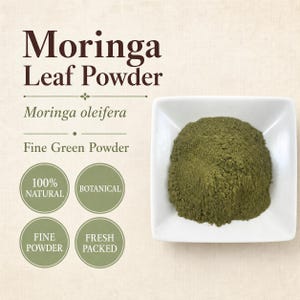 Polvo de hojas de moringa / Moringa oleifera / Ingrediente botánico / Recolectado en la naturaleza imagen 1