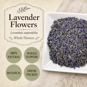 Lavender Flowers | Lavandula angustifolia | Super Blue Emperor Grade | Whole Buds
