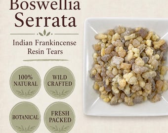 Boswellia serrata | Indian Frankincense Resin | Whole Resin Tears | Wild Crafted
