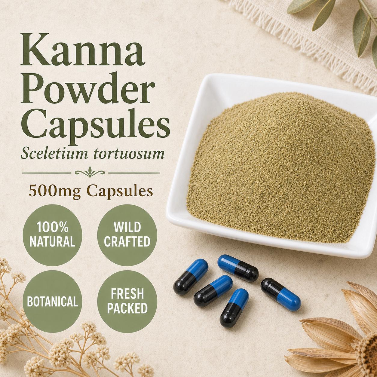 Kanna Powder Capsules | Sceletium Tortuosum | 500mg Botanical