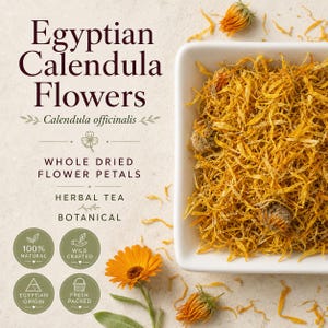 Hele bloemen van de Egyptische Calendula | Gedroogde goudsbloem voor thee en knutselprojecten
