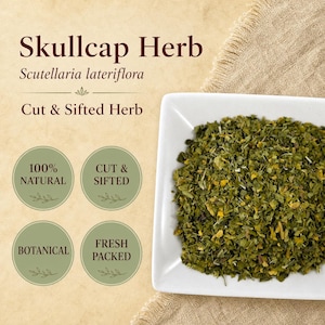 Skullcap Herb | Scutellaria lateriflora | Cut & Sifted Botanical | Wild Crafted