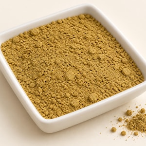May include: A square white ceramic bowl filled with a fine, golden-brown powdered substance. The texture of the powder is granular with small clumps visible throughout the surface. A small pile of the same golden-brown powder sits outside the bowl.