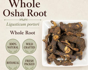 Osha Root (ligusticum Porteri) | Rare Whole Root Botanical Herb