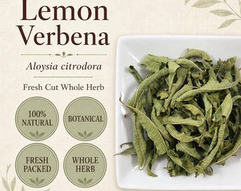Hierba de limón / Aloysia citrodora / Hierba botánica de hoja entera / Recolectada en estado silvestre
