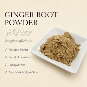 Ginger Root Powder | Zingiber officinale | Fine Ground Botanical Powder | Wild Crafted image 4