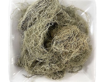 Usnea Lichen Whole (Usnea barbata) Wild Crafted Old Man's Beard (Moss, Herbal) - Free Shipping in USA