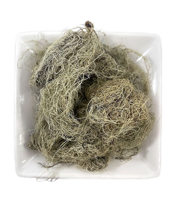 Wild Crafted Usnea Lichen: Organic Old Man's Beard