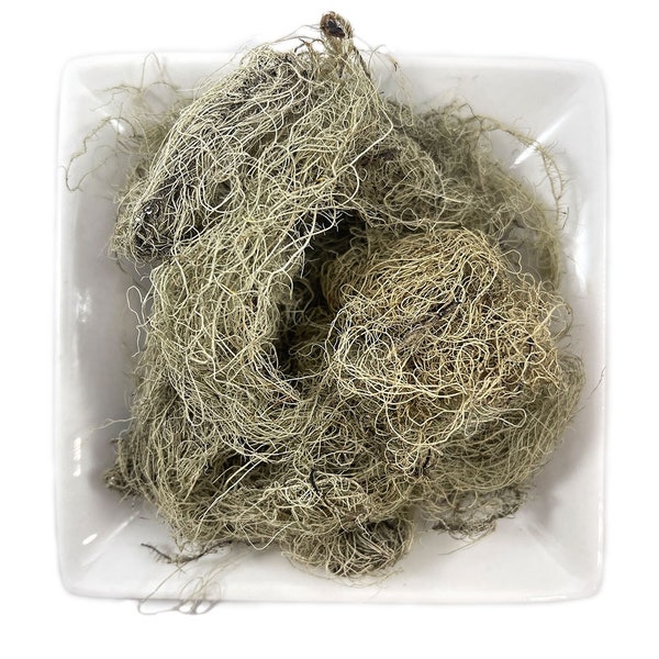 Usnea Lichen Whole (Usnea barbata) Wild Crafted Old Man's Beard (Moss, Herbal) - Free Shipping in USA