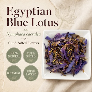 Egyptian Blue Lotus Flowers | Nymphaea caerulea | Cut & Sifted Botanical Tea | Fresh Harvest