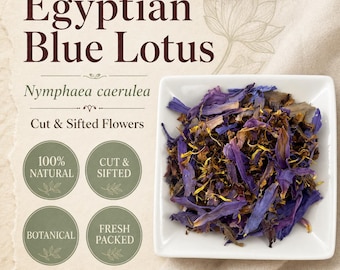 Egyptian Blue Lotus Flowers | Nymphaea caerulea | Cut & Sifted Botanical Tea | Fresh Harvest