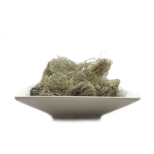 May include: A white ceramic bowl filled with a large amount of dried Spanish moss. The moss is a light green colour and has a tangled, stringy texture.
