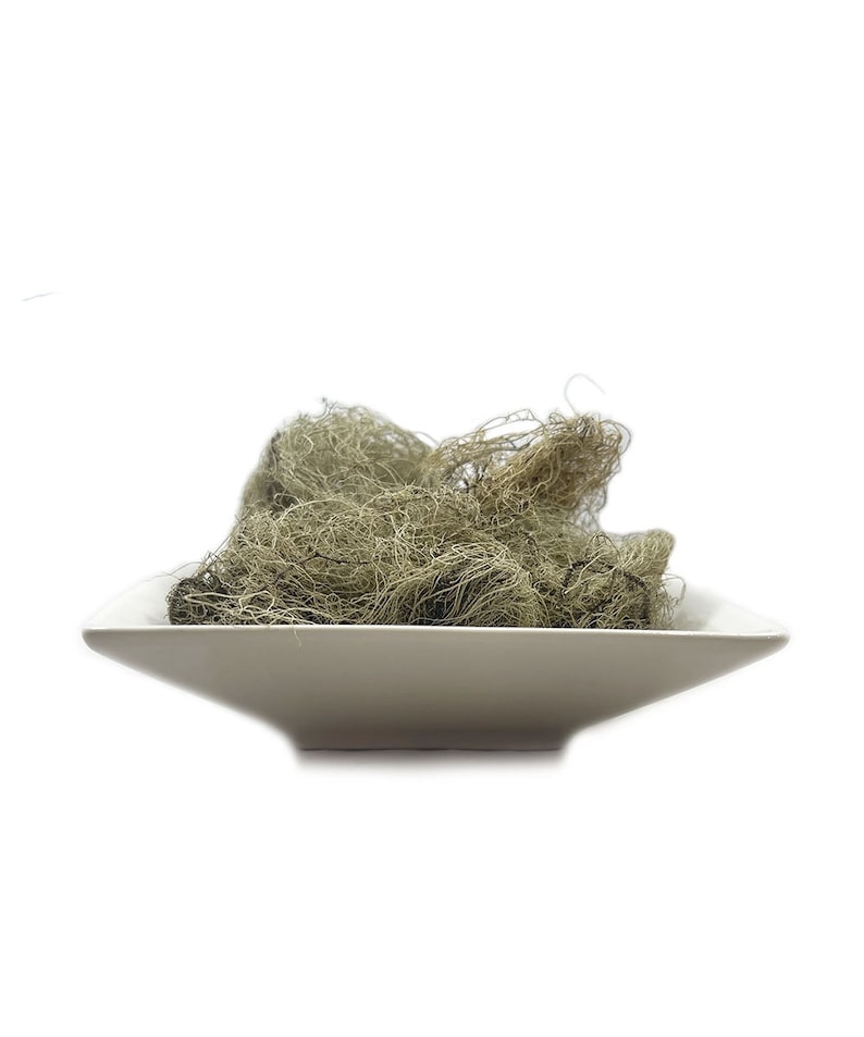 May include: A white ceramic bowl filled with a large amount of dried Spanish moss. The moss is a light green colour and has a tangled, stringy texture.