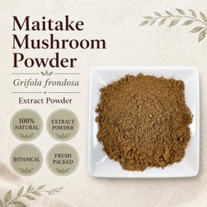 Pó de cogumelo Maitake | Grifola frondosa | Pó botânico fino | Colhido na natureza