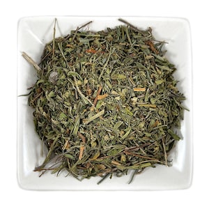 SUN OPENER Heimia salicifolia ハーブ - 無農薬 - オーガニック - 新鮮な収穫 - 米国内送料無料