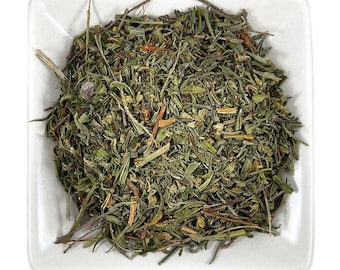 SUN OPENER Heimia salicifolia Herb - Pesticide Free - Organic - Fresh Harvest - Free Shipping in USA