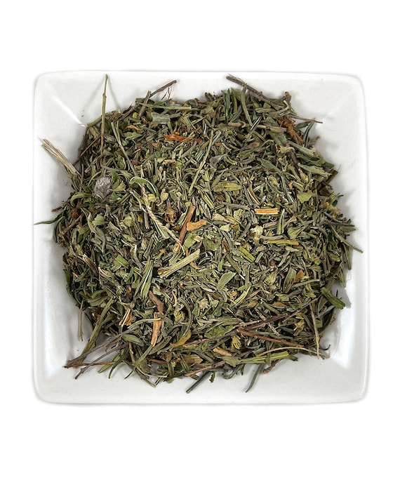Sun Opener Herb - Fresh Harvested Heimia Salicifolia - Etsy